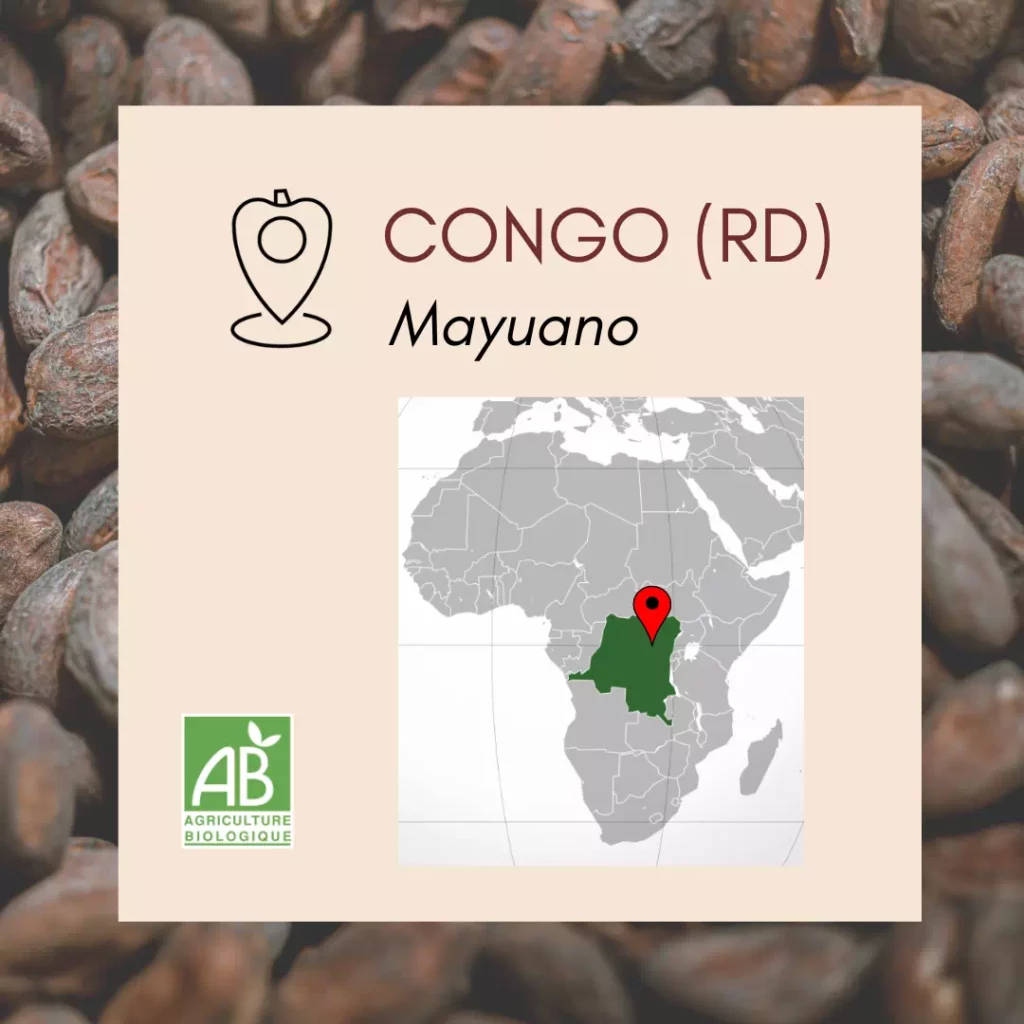 cacao Congo Bio