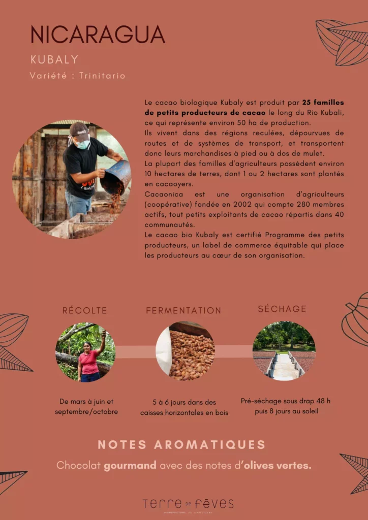 Manufacture de chocolat Terre de fèves Vannes